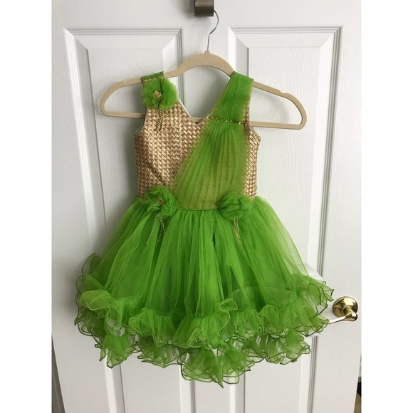 Gorgeous Green Tulle with Gold Trim Costume Size24 - Picture 1 of 10